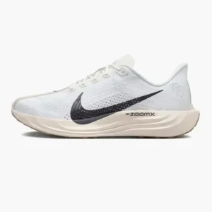 Кроссовки мужские Nike Pegasus Plus Sail Anthracite