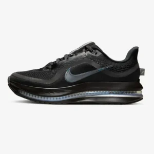 Кроссовки женские Nike Pegasus Premium Black Metallic Silver
