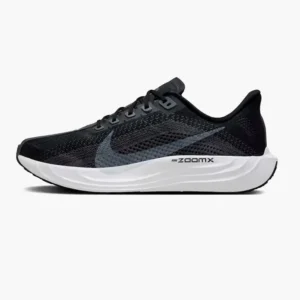 Кроссовки мужские Nike Pegasus Plus Black Pure Platinum