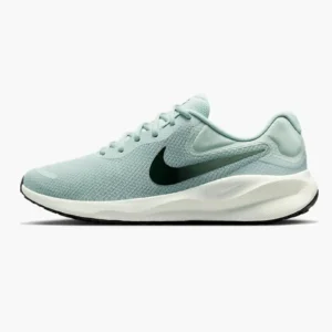 Кросівки чоловічі Nike Revolution 7 Light Silver Sequoia