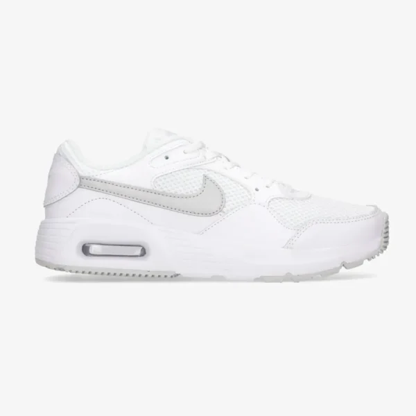 Кроссовки женские Nike Air Max SC Metallic Platinum