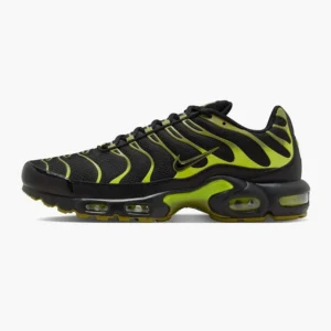 Кросівки чоловічі Nike Air Max Plus Pacific Moss