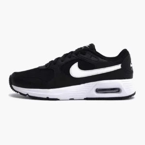 Кросівки чоловічі Nike Air Max SC Black White
