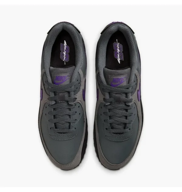 Кросівки чоловічі Nike Air Max 90 Racing Pack Iron Wild Grape