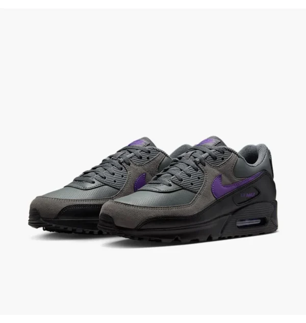 Кросівки чоловічі Nike Air Max 90 Racing Pack Iron Wild Grape