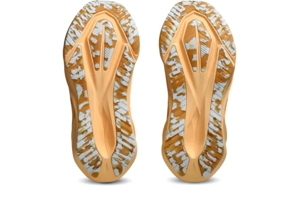 Кросівки жіночі ASICS Novablast 5 Lite-Show