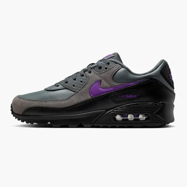 Кросівки чоловічі Nike Air Max 90 Racing Pack Iron Wild Grape